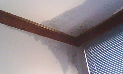 可以找物業(yè)處理房屋漏水嗎?